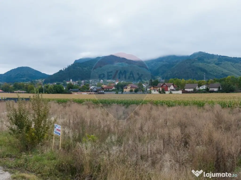 Un lot de casa intrare Sacele 790 mp 