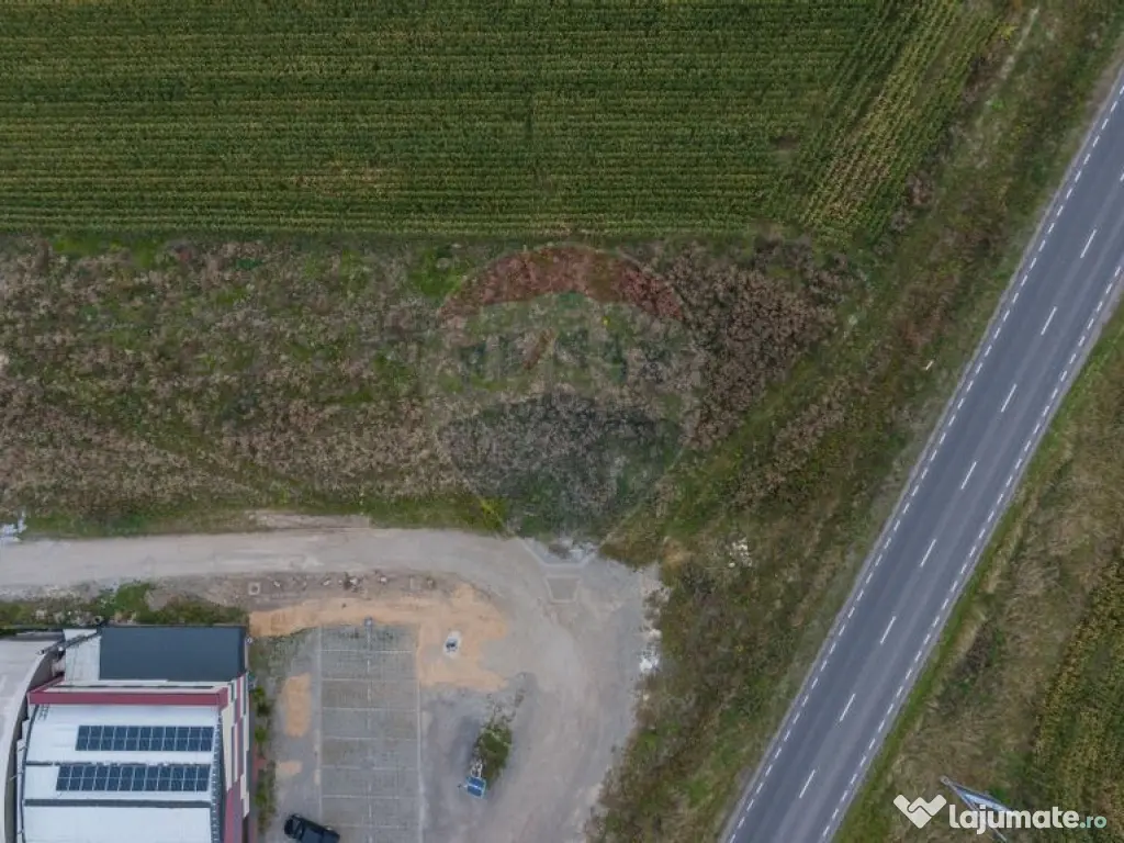 Un lot de casa intrare Sacele 790 mp 