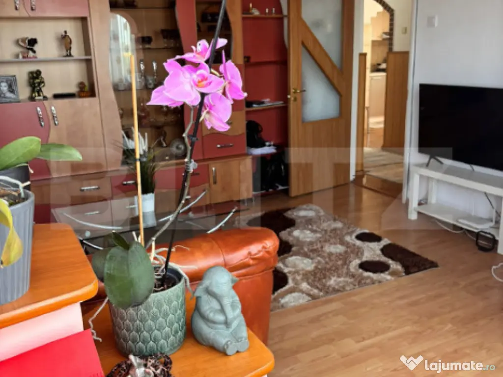 Apartament spatios, 2 camere, decomandat, 58 mp, zona Craite