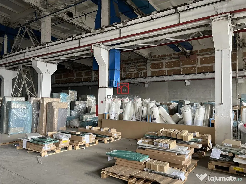 Hala/depozit/spatiu industrial Basarabia - Faur