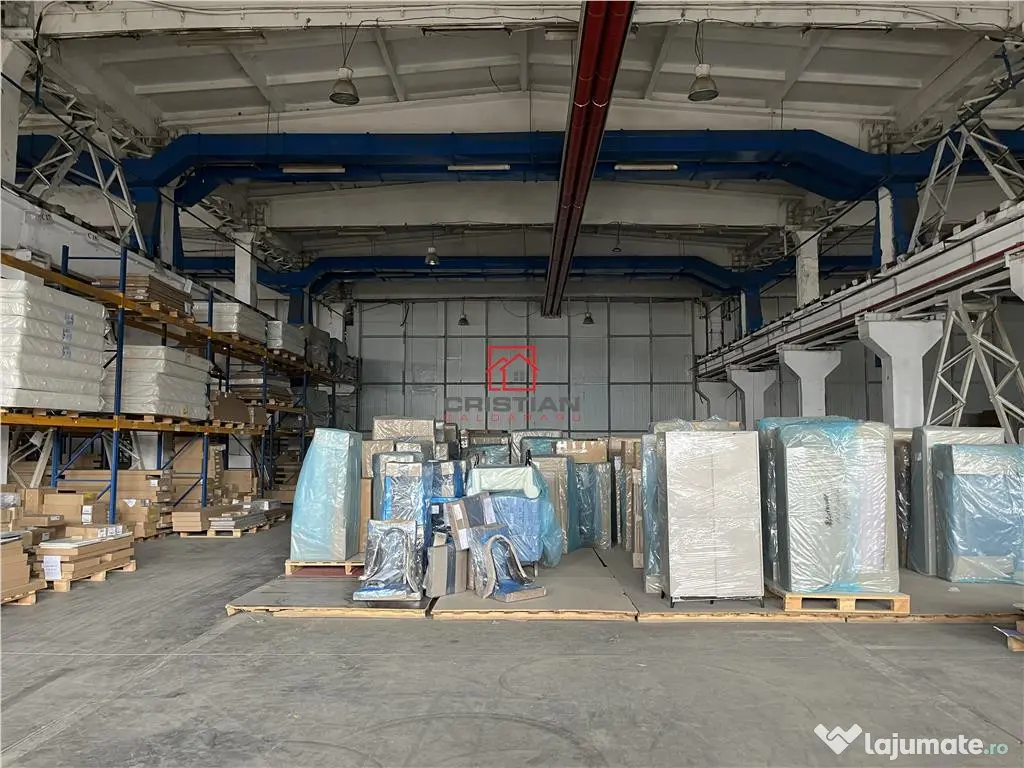 Hala/depozit/spatiu industrial Basarabia - Faur