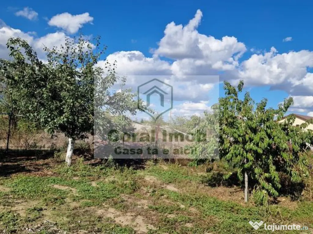 Inchiriere casa comuna 1 decembrie 