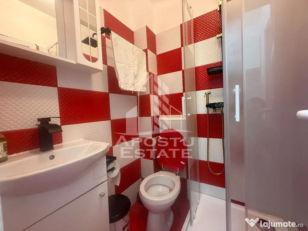 Apartament cu o camera , 15mp , zona Buziasului 