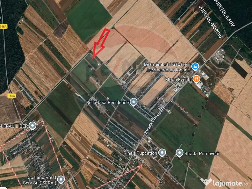 Teren lotizat 4,650mp Sabareni / Strada Cereanca 