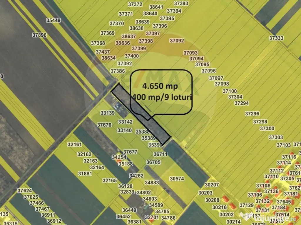 Teren lotizat 4,650mp Sabareni / Strada Cereanca