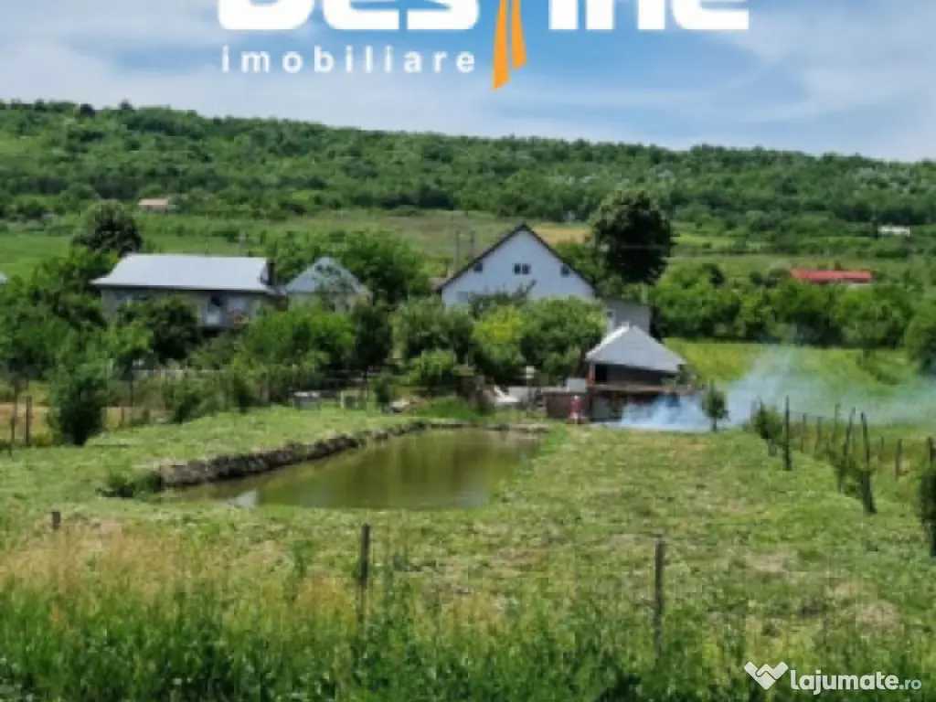 Investiție, Casă 170 mp cu 2400 mp teren cu IAZ la asfalt 