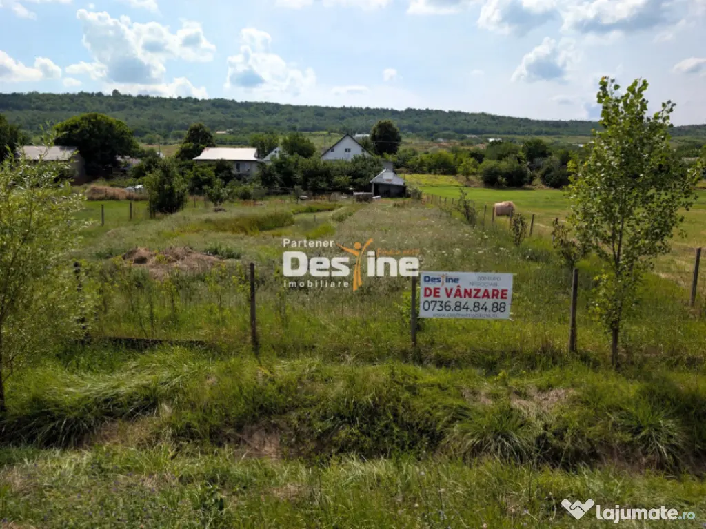 Investiție, Casă 170 mp cu 2400 mp teren cu IAZ la asfalt 