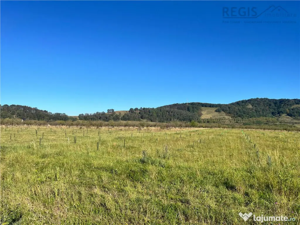 TEREN INTRAVILAN, HARMAN