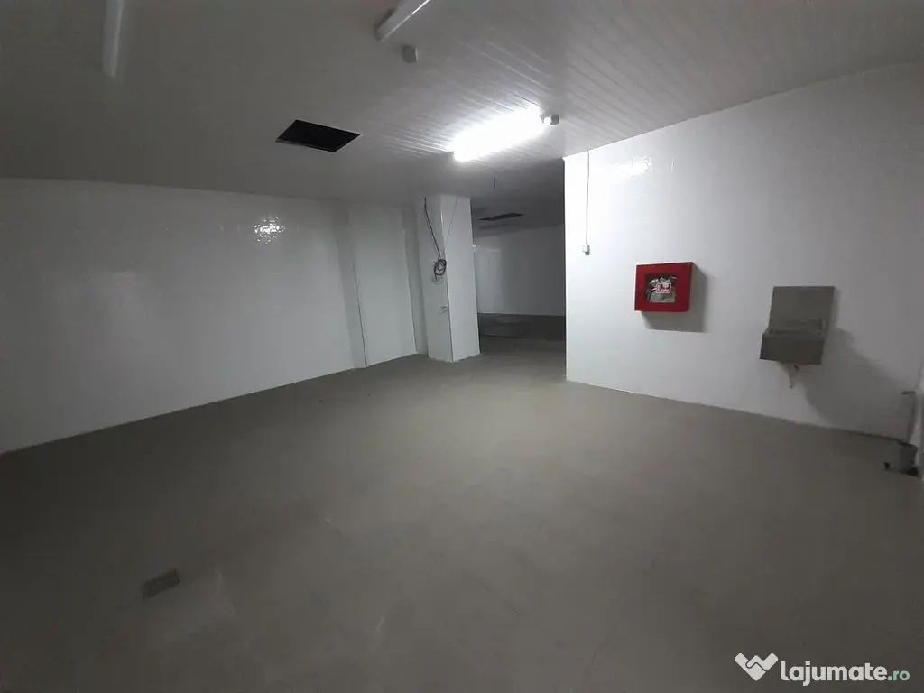 Hala - flux DSV - domeniu alimentar - productie sau catering 