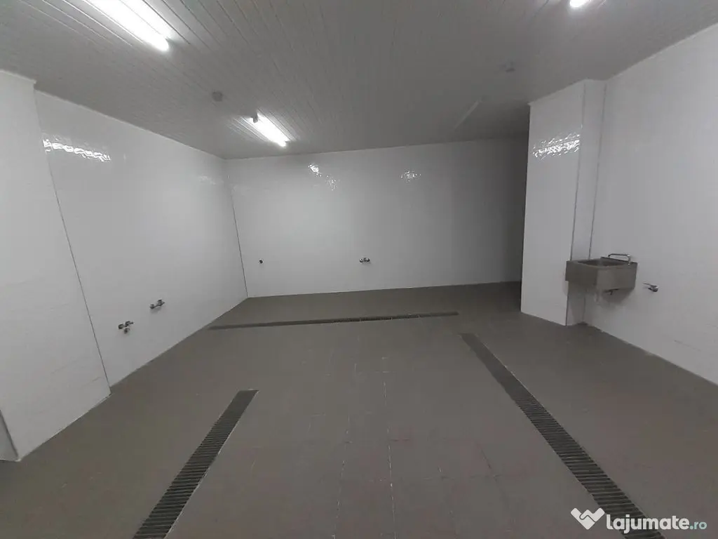 Hala - flux DSV - domeniu alimentar - productie sau catering 