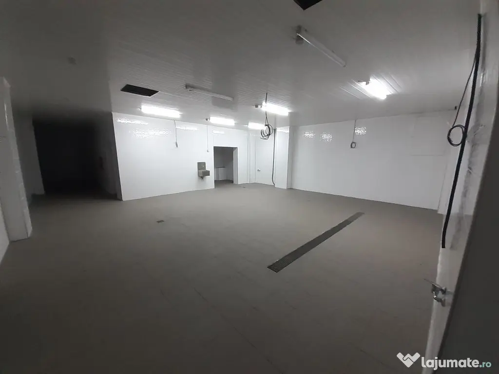 Hala - flux DSV - domeniu alimentar - productie sau catering 