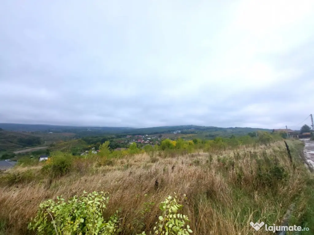 Teren de vanzare Barnova, cu priveliste Vanzare imediata 