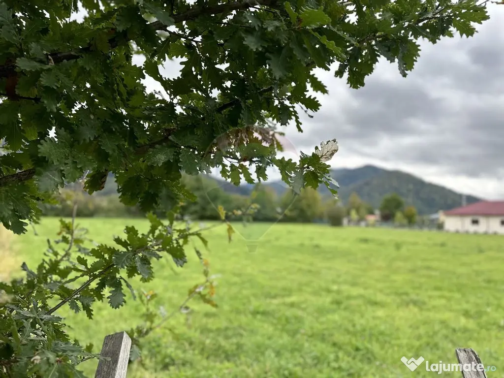 Teren 1,023mp Vadurele (Alexandru cel Bun) / Strada Steja... 