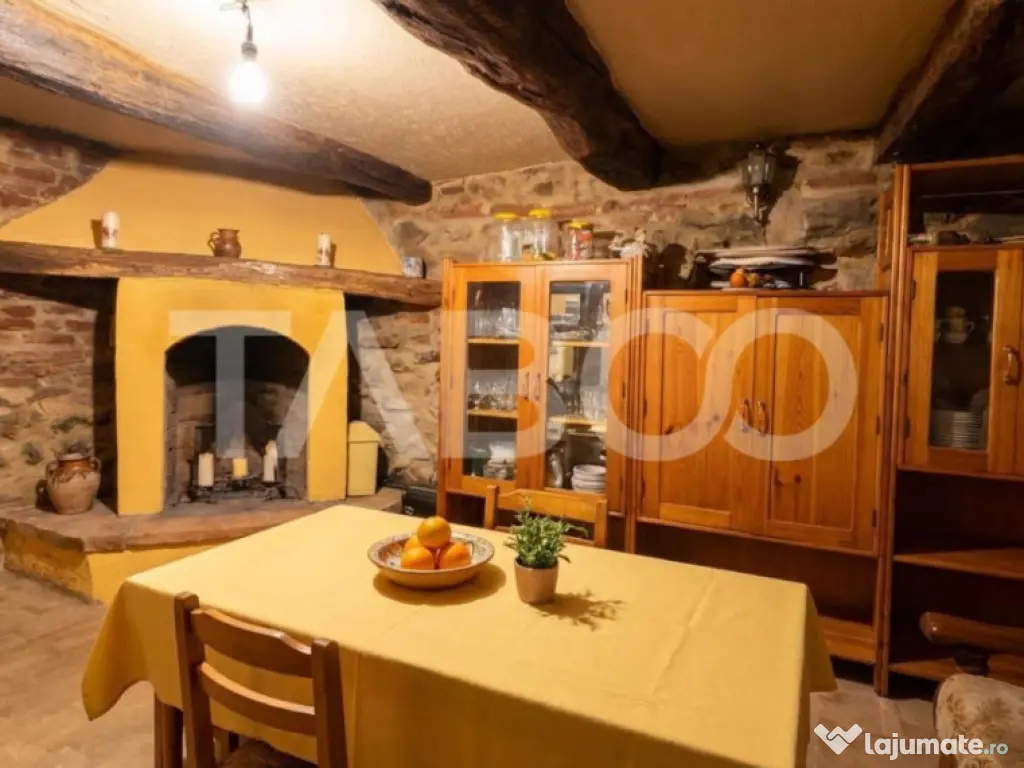 Casa de vanzare cu curte spatioasa loc relaxare si gradina C