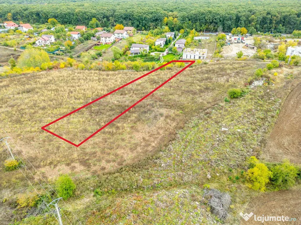 Teren 3000 mp în Snagov – zonă in dezvoltare, aproape...