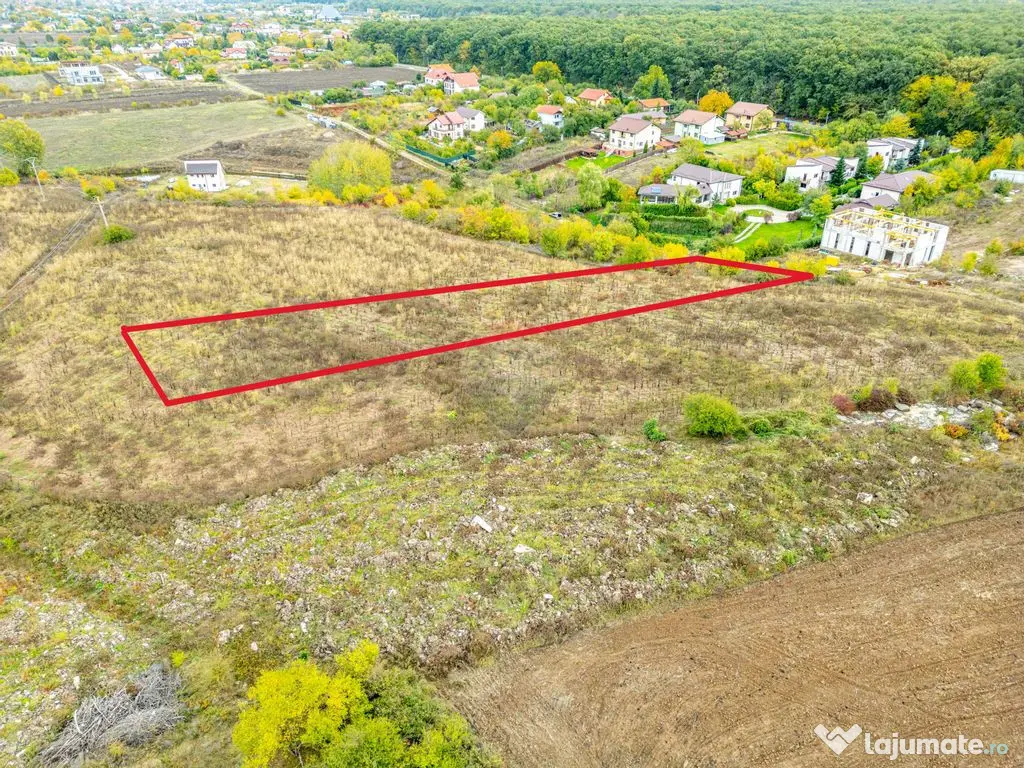 Teren 3000 mp în Snagov – zonă in dezvoltare, aproape...