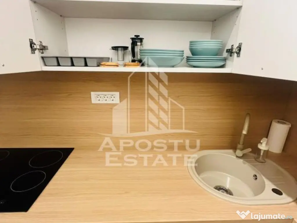 Apartament modern cu o camere, Take Ionescu la 5 minute d...