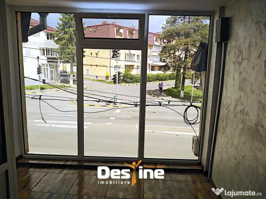 Spatiu comercial 45 mp vad comercial Gura Humoruluic afacere 