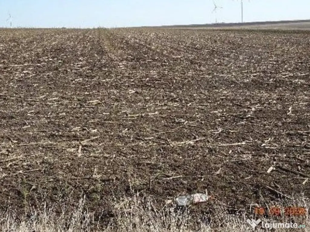 Teren extravilna Cota parte 1/16, CObadin, ID: R2782865 