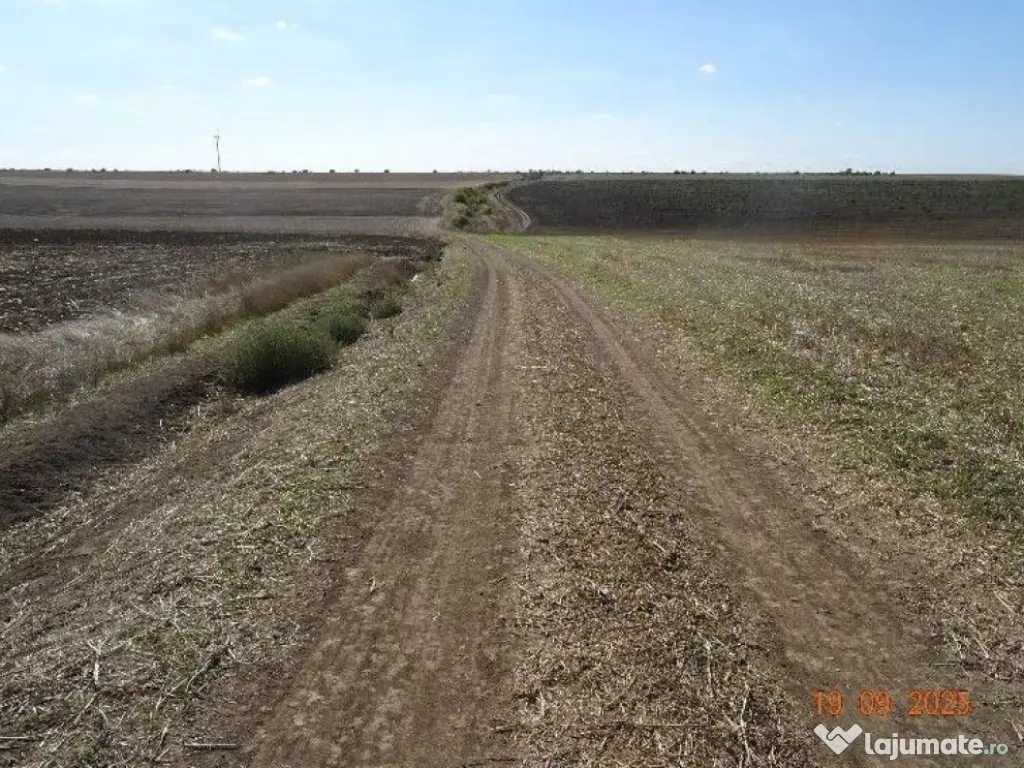 Teren extravilna Cota parte 1/16, CObadin, ID: R2782865 