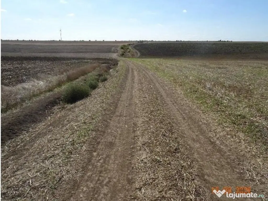 Teren extravilna Cota parte 1/16, CObadin, ID: R2782865 