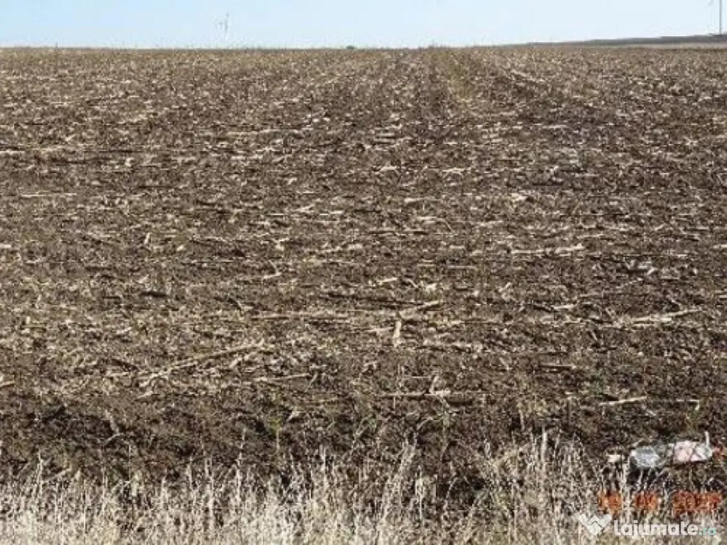 Teren extravilna Cota parte 1/16, CObadin, ID: R2782865 