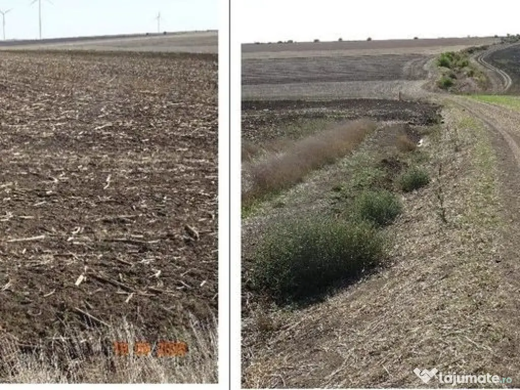 Teren extravilna Cota parte 1/16, CObadin, ID: R2782865 