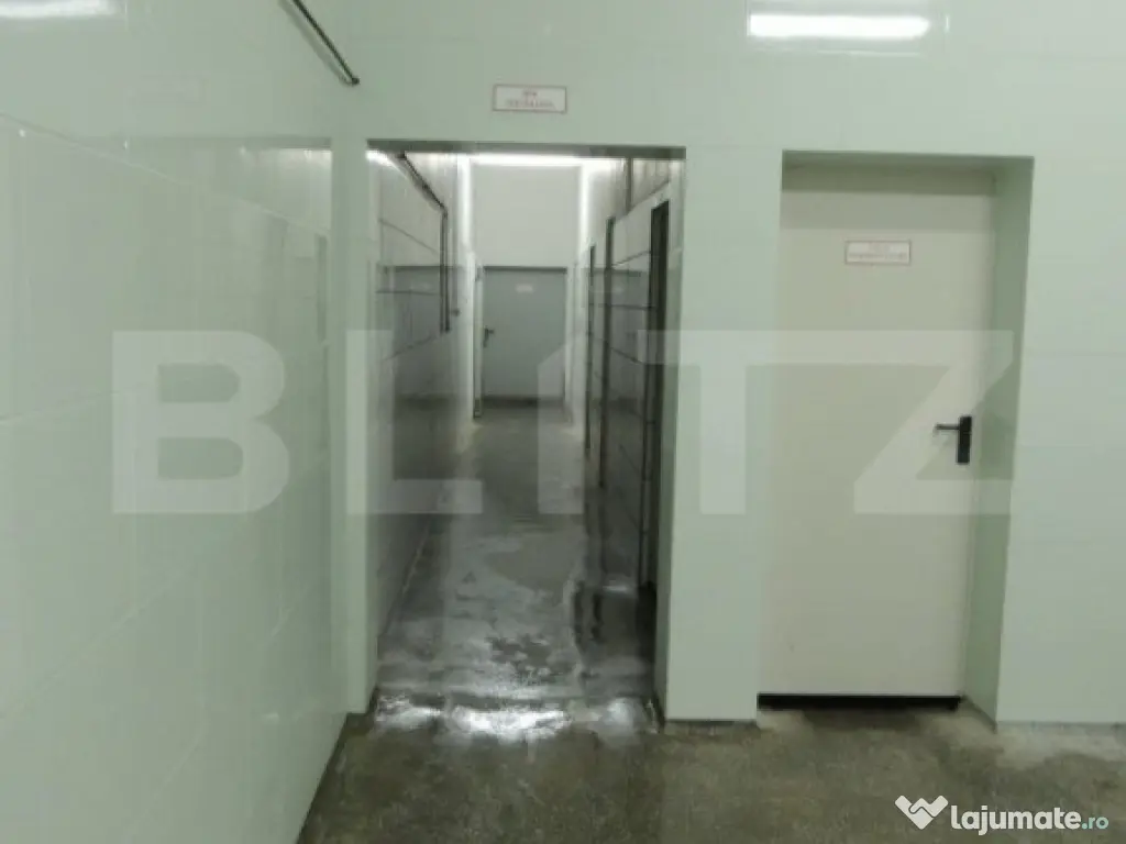 Cladire de vanzare (fosta fabrica de lactate)