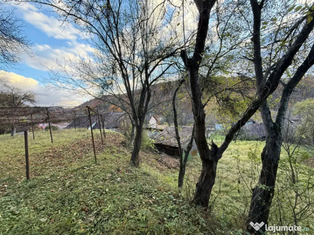 Casa 3 camere + teren 912mp zona Caraiman 
