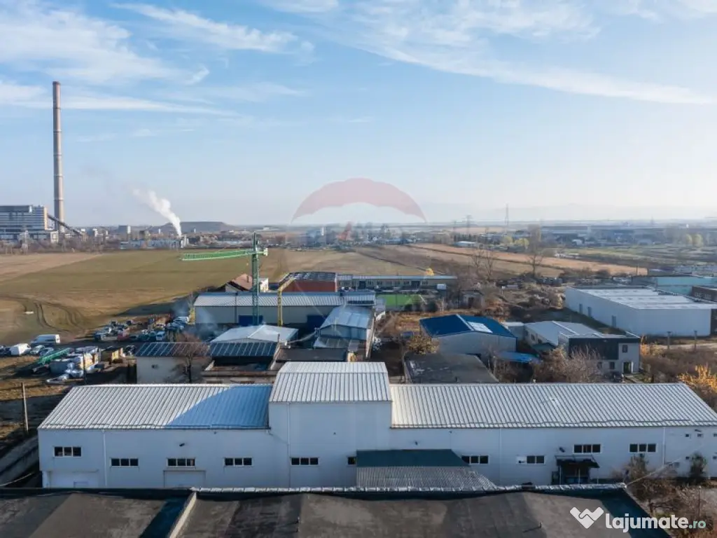 Hala industrială – investiție stabilă sau potențial... 