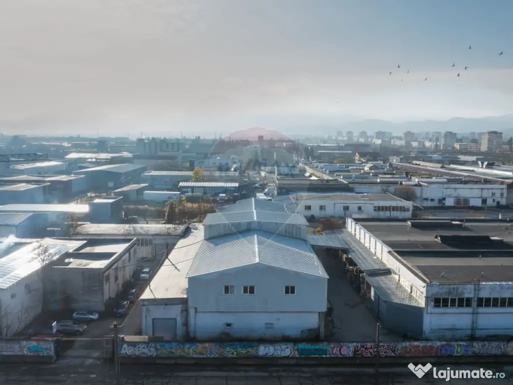 Hala industrială – investiție stabilă sau potențial... 