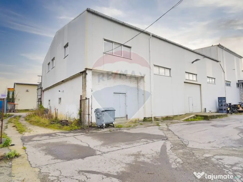 Hala industrială – investiție stabilă sau potențial... 