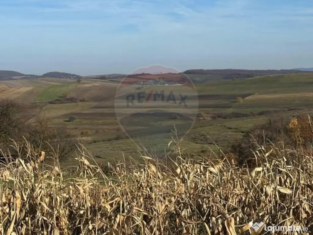 DE VANZARE - TEREN agricol 