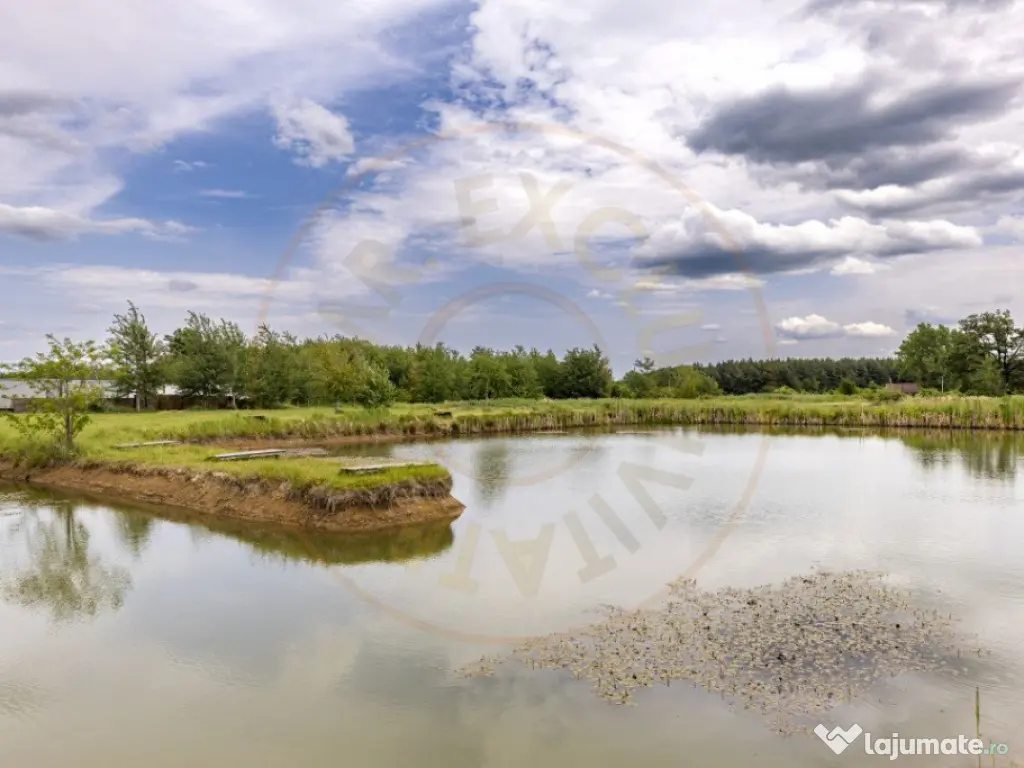 Afacere multifuncțională cu venituri imediate si potenția 