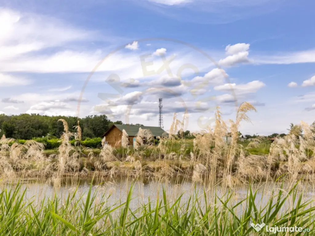 Afacere multifuncțională cu venituri imediate si potenția 