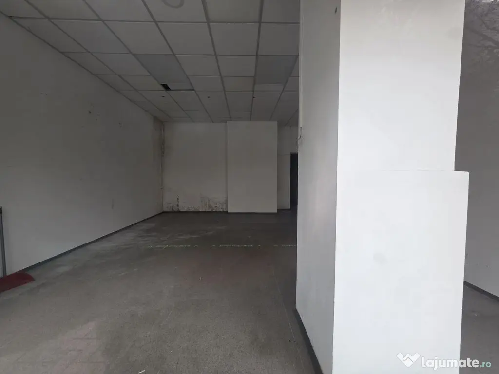 Zona Vitan sp 57 mp trafic intens 