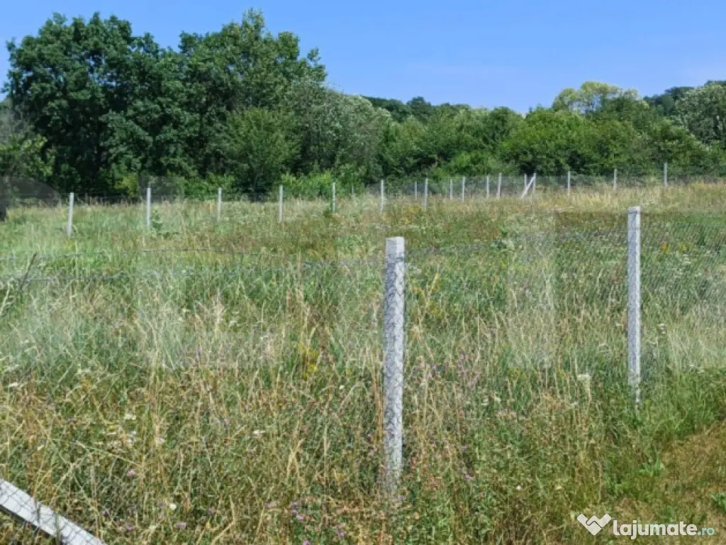 Teren extravilan de 1000 mp, situat pe strada Ghinzii