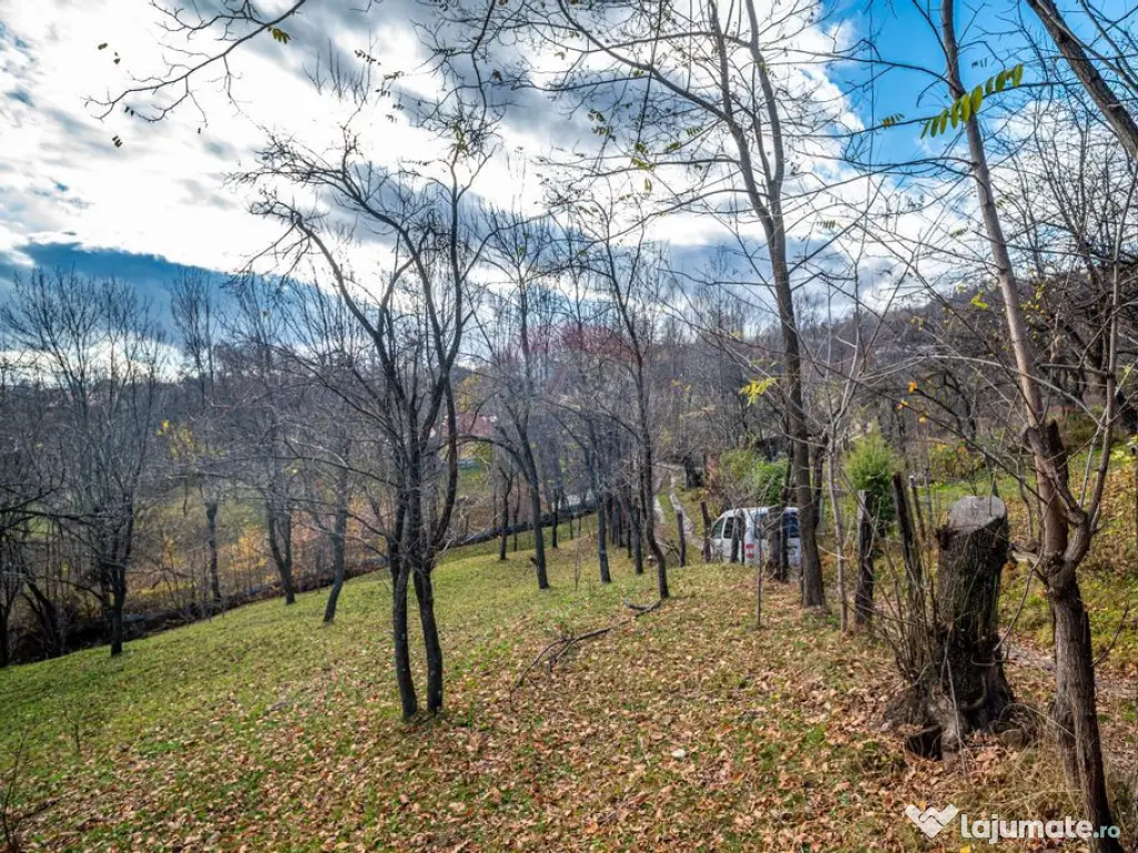 Teren intravilan 4384 mp – Comuna Talea, județul Prahova