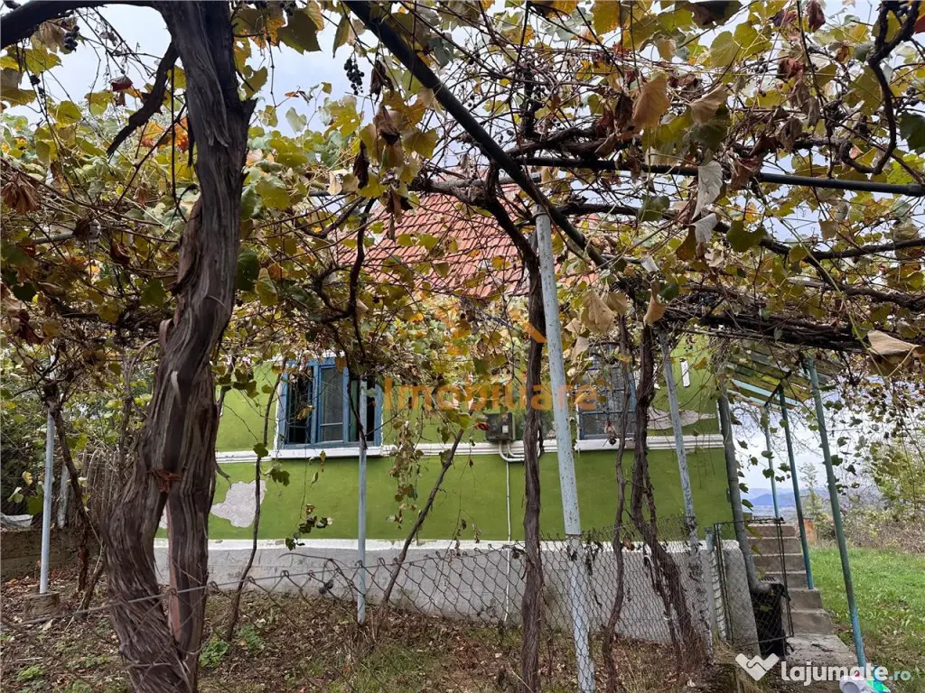 TEREN | 9341 MP | BALNACA GROSI | BIHOR 