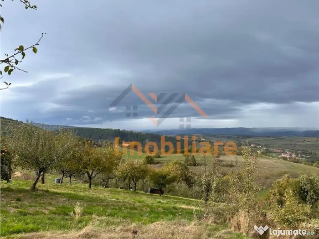 TEREN | 9341 MP | BALNACA GROSI | BIHOR 