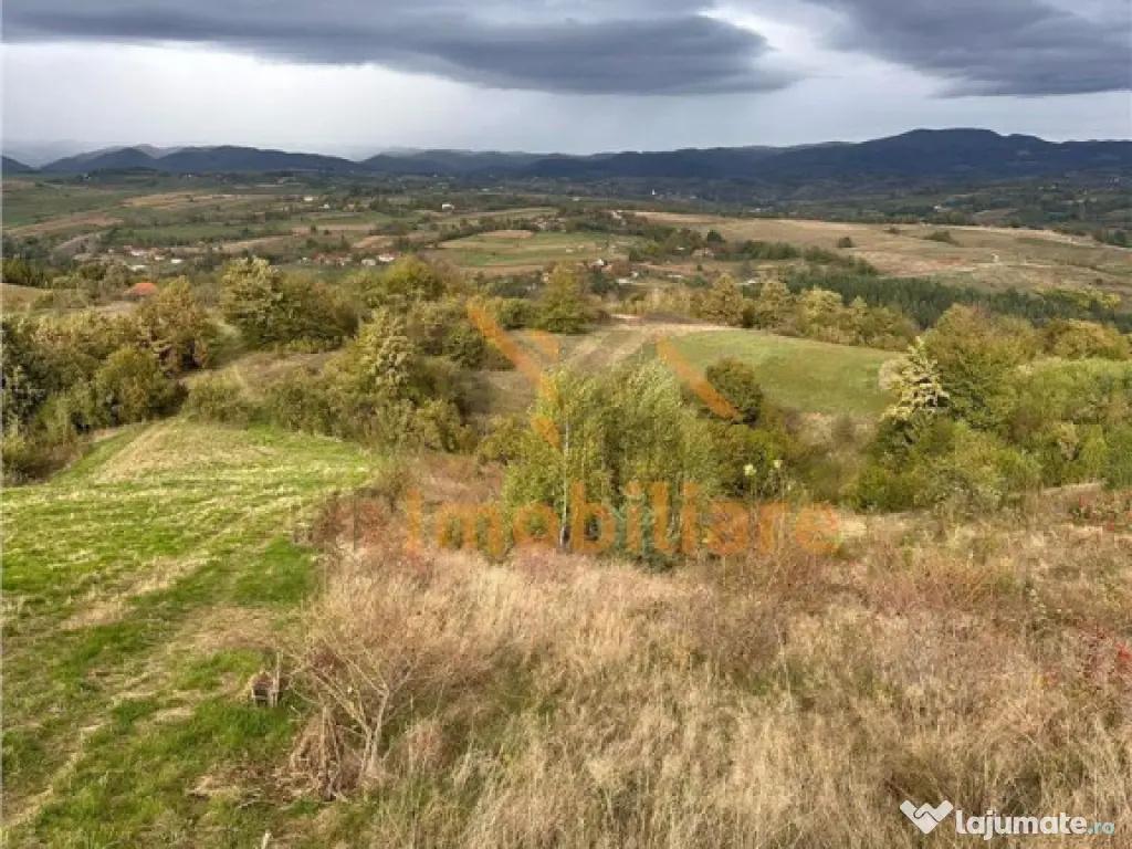 TEREN | 9341 MP | BALNACA GROSI | BIHOR 