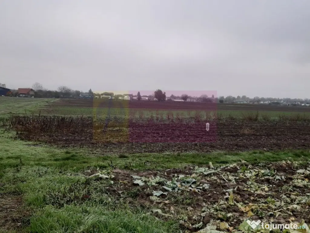Teren Investiție aproape de București 