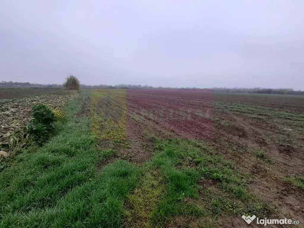 Teren Investiție aproape de București 