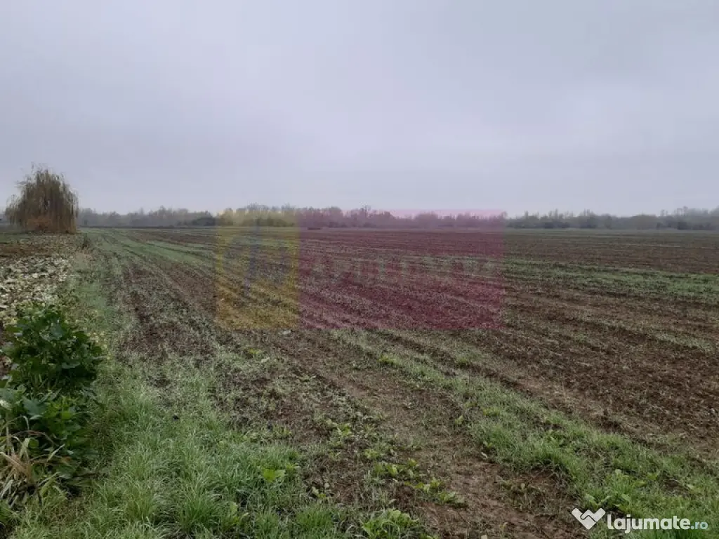 Teren Investiție aproape de București 