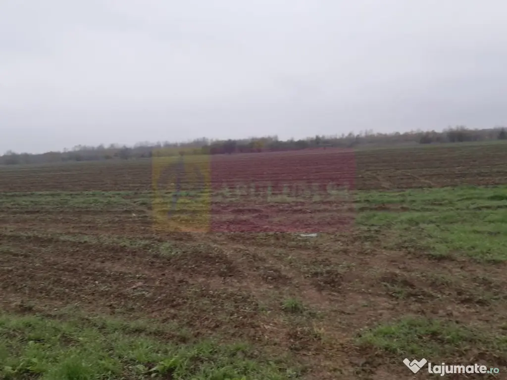 Teren Investiție aproape de București 