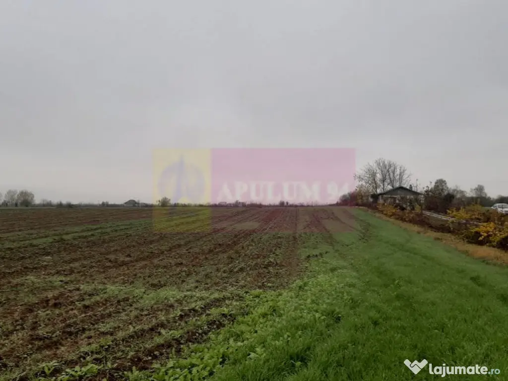 Teren Investiție aproape de București 