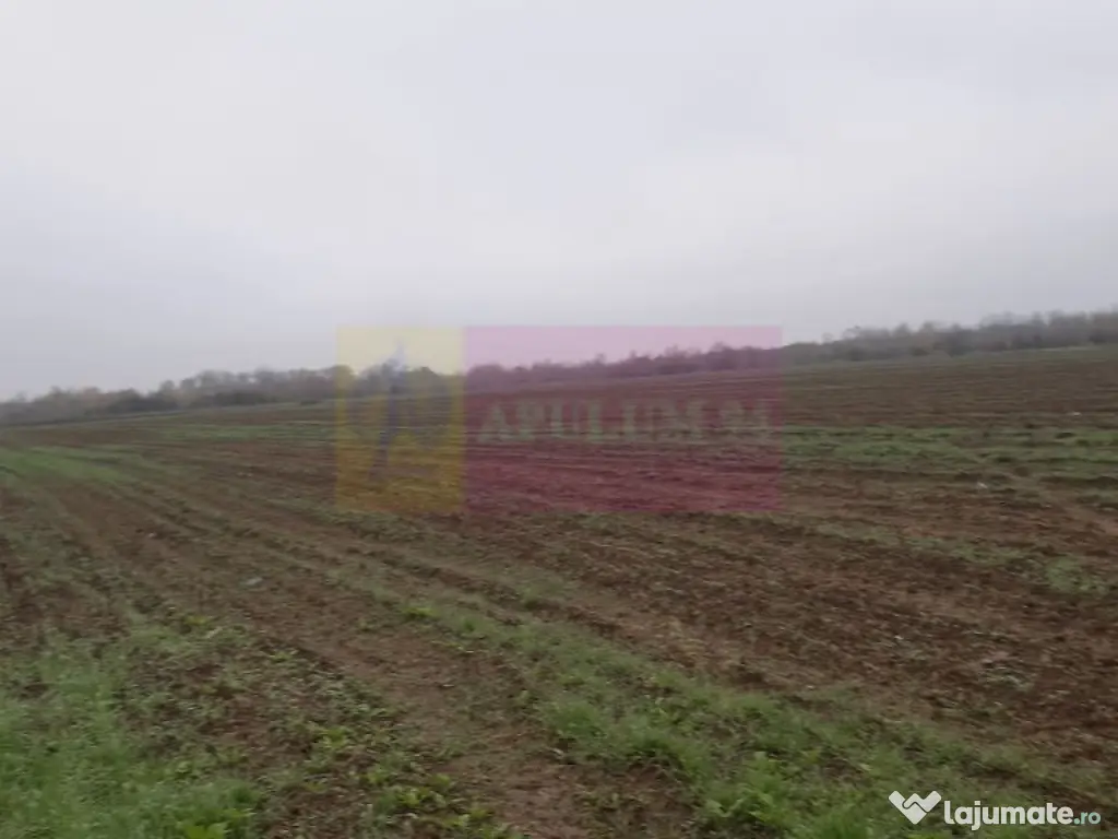 Teren Investiție aproape de București 