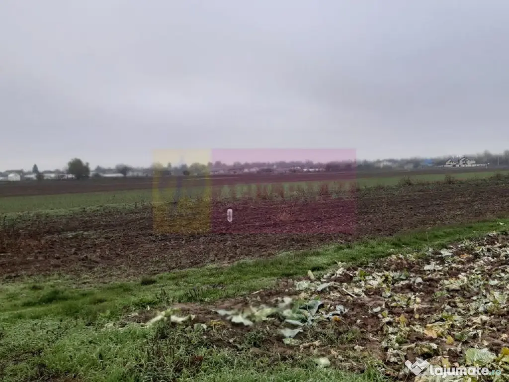 Teren Investiție aproape de București 