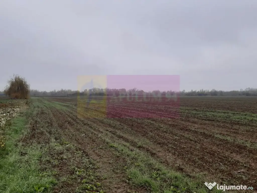 Teren Investiție aproape de București 