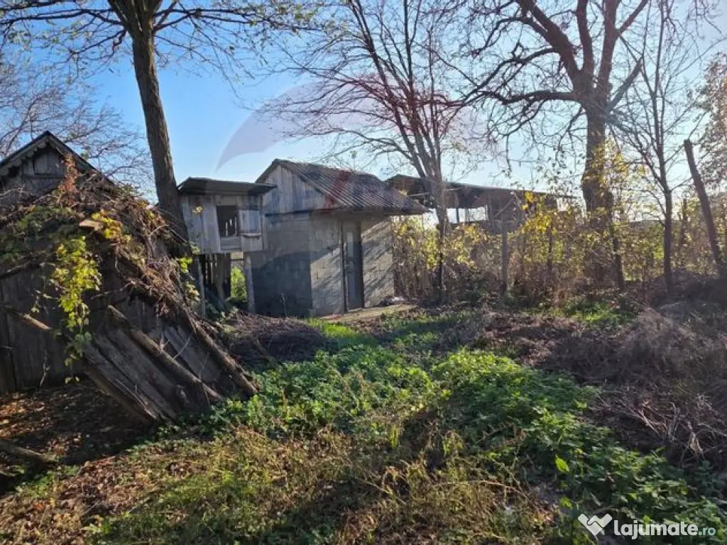 Casă / Vilă de vânzare/Ciuslea 